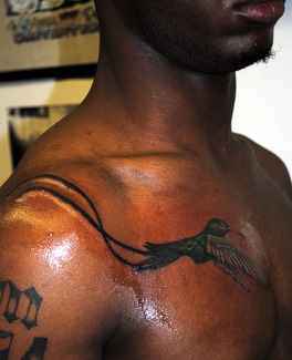 a man with a bird tattoo on his chest and arm is looking at the camera