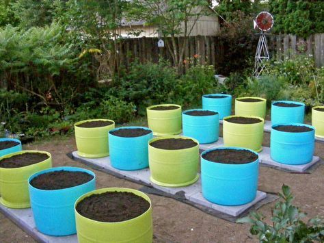 there are many blue and yellow barrels with dirt in them on the ground next to trees