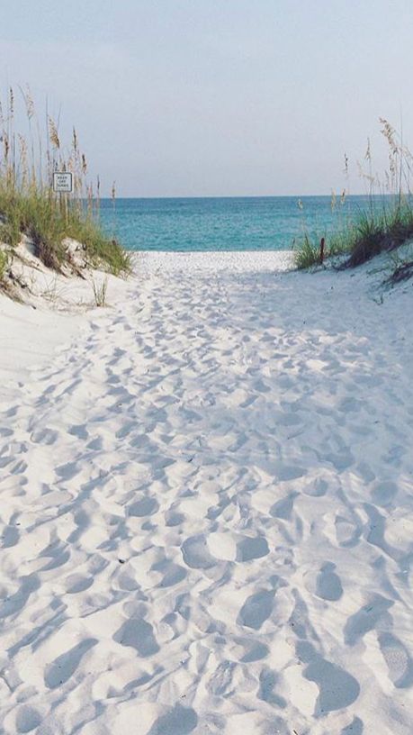 a sandy path leading to the beach with sea oats in the background on a sunny day