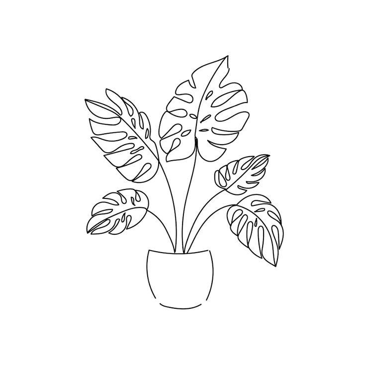 a black and white drawing of a potted plant with large leaves on the top