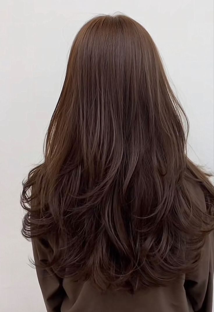 Long Curved Layers, Round Long Haircut, Long Korean Layered Hair, Butterfly Layers Straight Hair, Long Layered Haircuts With Curtain Bangs Black Hair, Layers For Long Hair Asian, 90s Haircuts Long Brunette, Long Hair Layers Unstyled, Blended Layers Long Hair