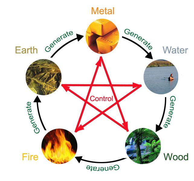 an image of the five elements in a circle with fire, water, and trees