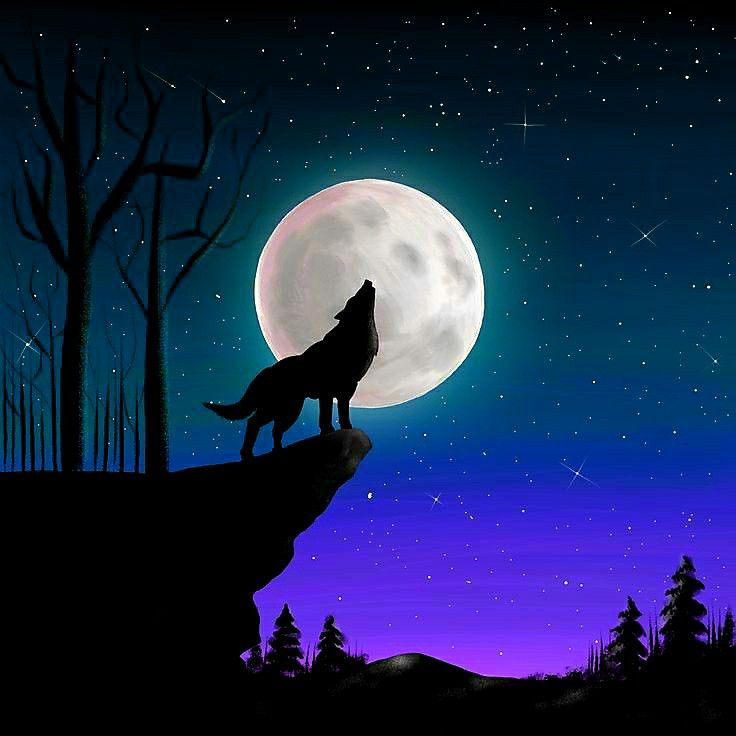 a wolf standing on top of a cliff under a moon filled sky with stars and trees