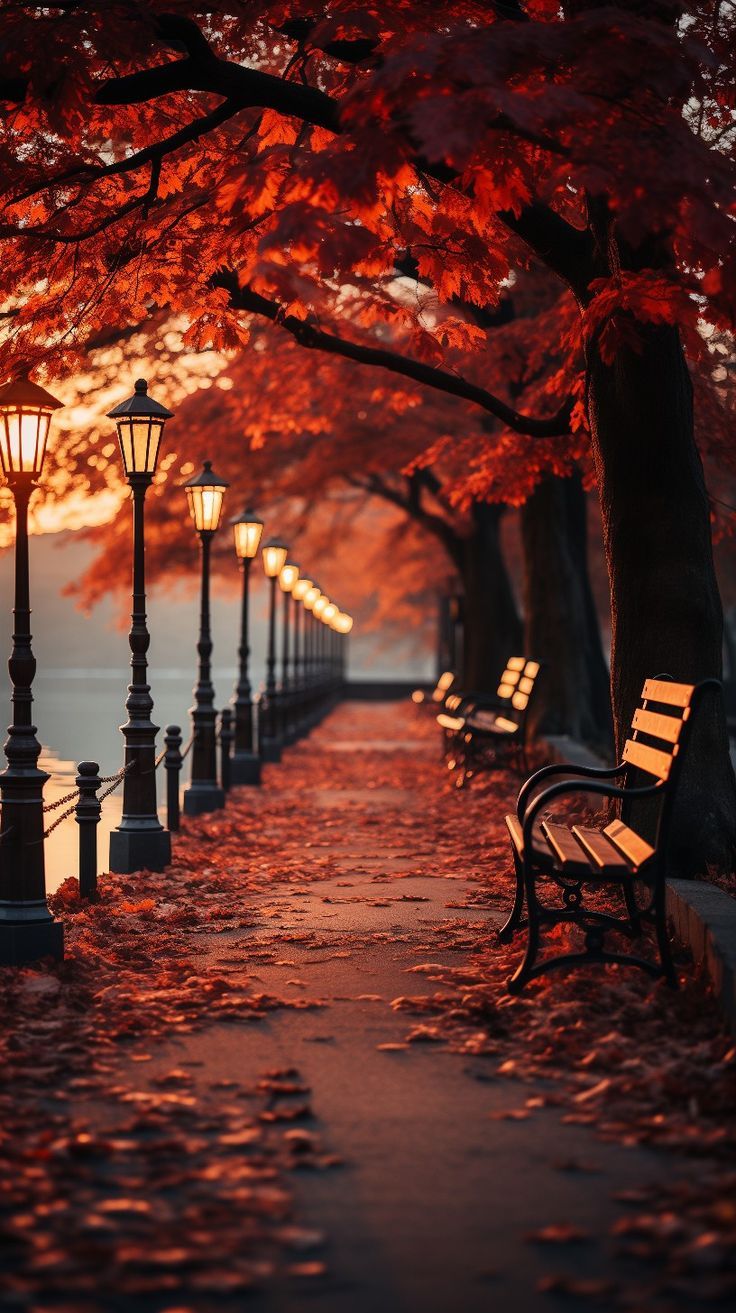 a row of park benches sitting next to each other under a tree filled with red leaves