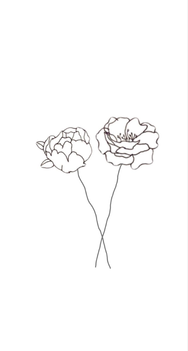 two flowers are shown in black and white, one is drawn on the back side