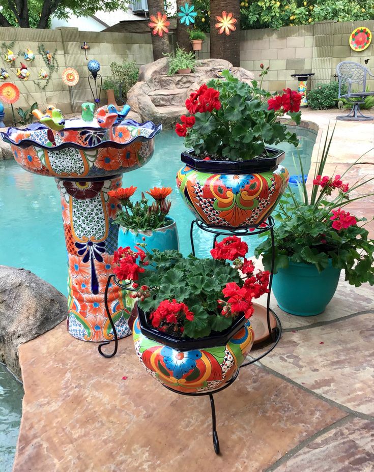 colorful pots with flowers in them next to a pool