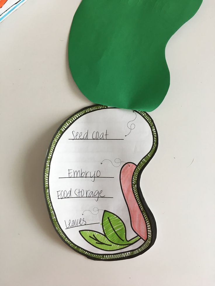 a paper plate with a green leaf on top of it next to a piece of paper