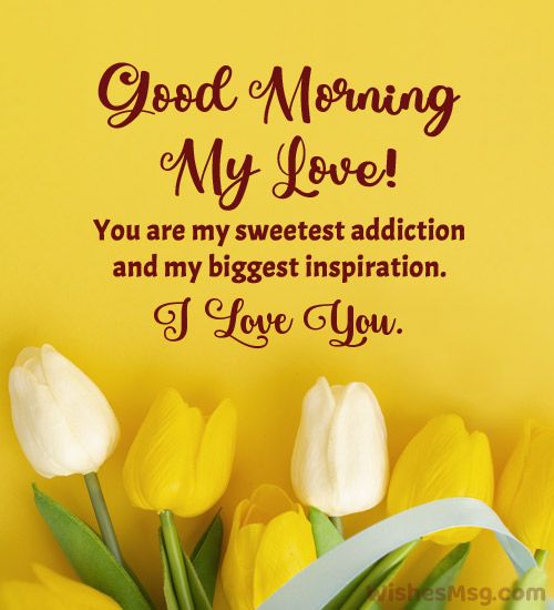 yellow tulips and white flowers with the words good morning my love