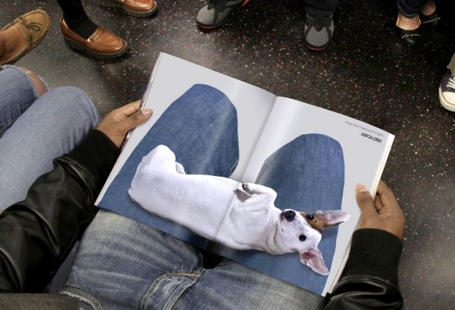 a person sitting down reading a book with a dog on it