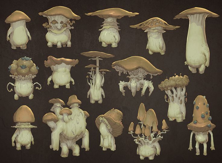 an image of various mushrooms and other things