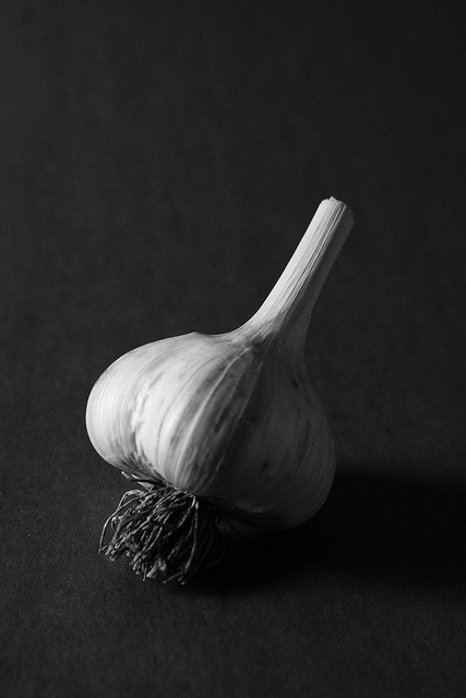 black and white photograph of an onion on a dark table top with one bulb still attached to it