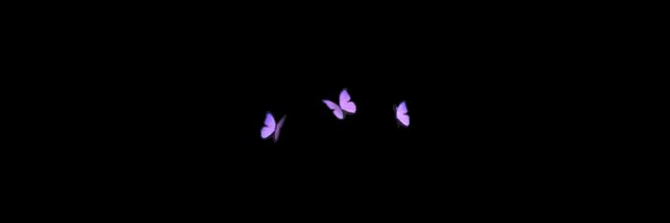 three purple butterflies flying in the dark