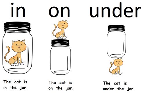 an image of cats in jars with the words in on under written above them and below