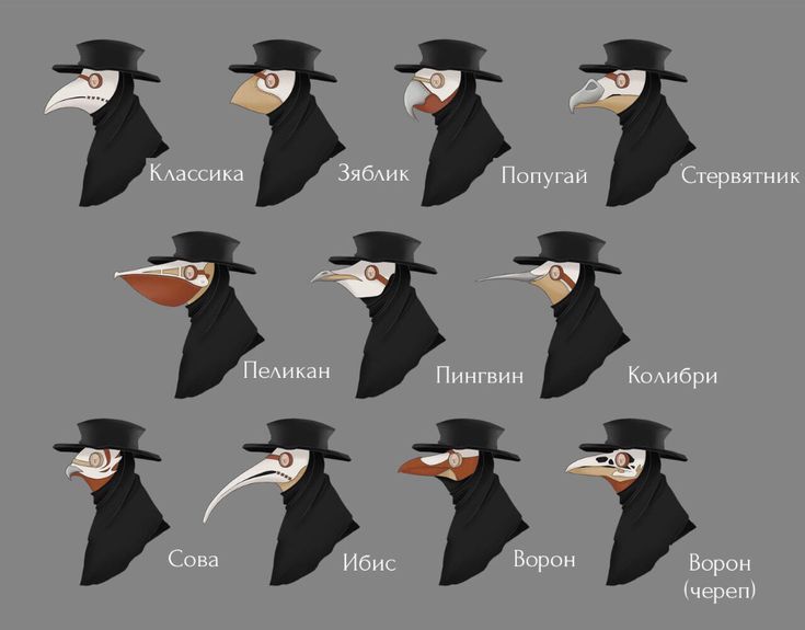 an image of different types of birds in hats and gowns with names on them