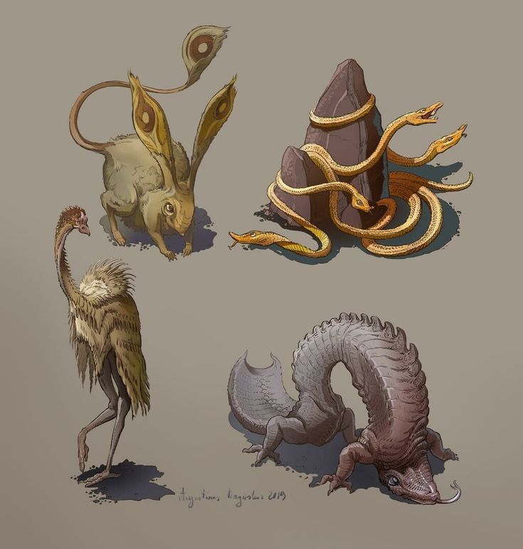 four different types of animals and plants on a gray background, including an animal with long legs