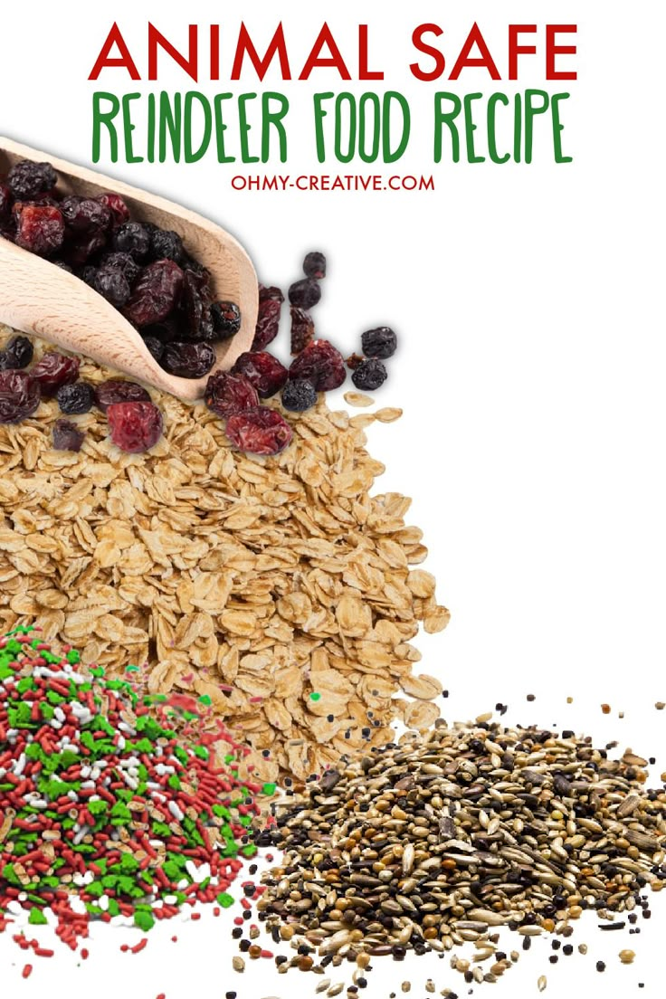 an animal safe reindeer food recipe with sprinkles, seeds and cranberries