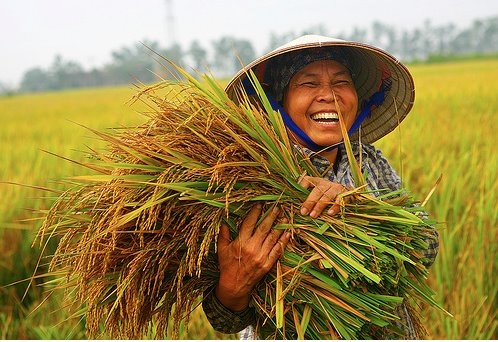 a woman in a straw hat is holding some grass