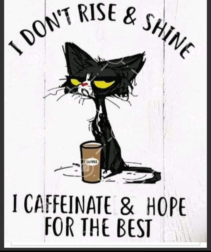 a wooden sign with a black cat holding a coffee cup and saying i don't rise & shine