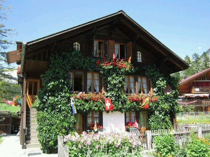 a house covered in vines and flowers on a sunny day