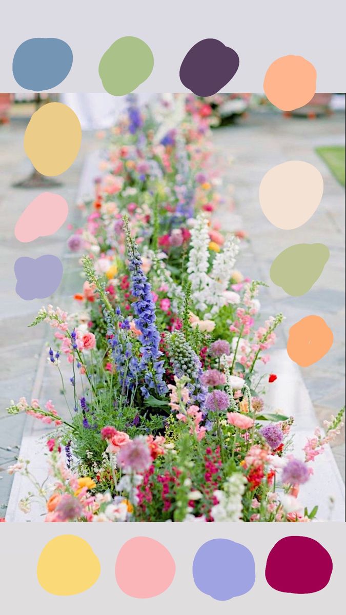 a row of colorful flowers sitting next to each other on top of a cement ground