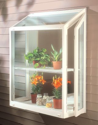 an open window with potted plants in it