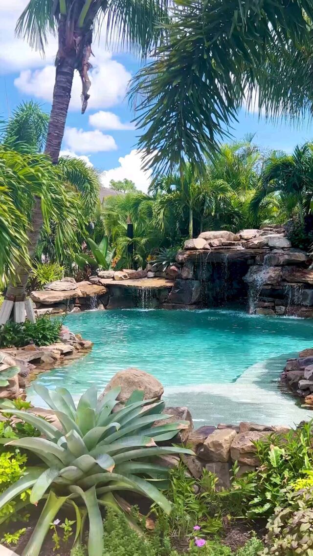 a pool surrounded by palm trees and rocks