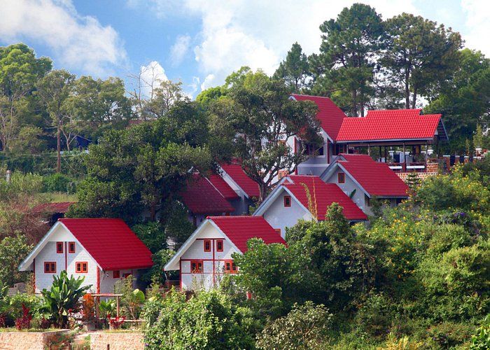 a row of houses with red roof tops in the woods