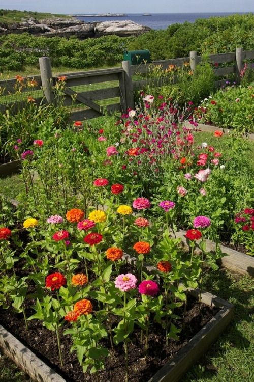 a garden filled with lots of flowers next to a wooden fence and ocean in the background