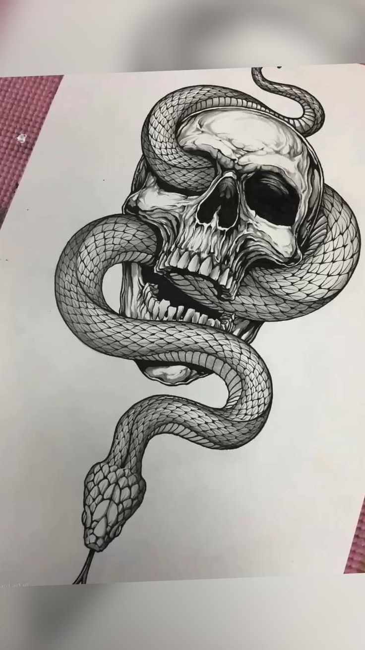 a drawing of a skull with a snake wrapped around it's head, on top of a piece of paper