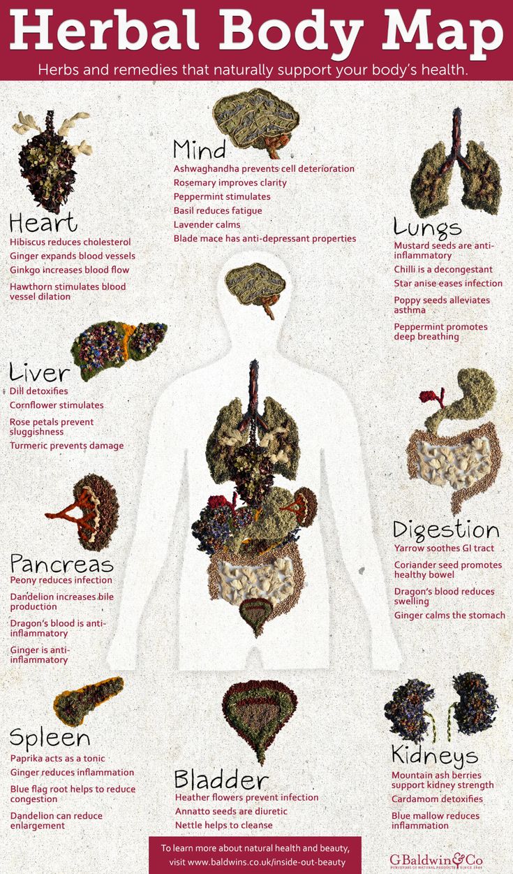 Herbal Body Map - Inside Out Beauty | G Baldwin & Co Medical Herbs, Magia Das Ervas, Body Map, Magic Herbs, Natural Healing Remedies, Healing Remedies, Herbal Healing, Herbal Magic, Home Health Remedies