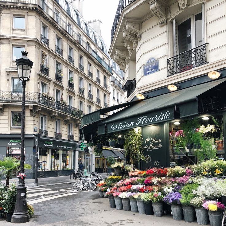 an outdoor flower shop with lots of potted flowers on the sidewalk in front of it