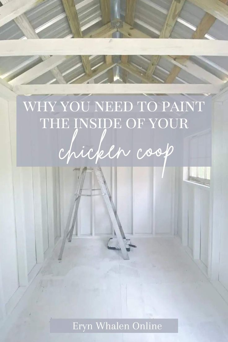 the inside of a chicken coop with text overlay that reads, why you need to paint the inside of your chicken coop