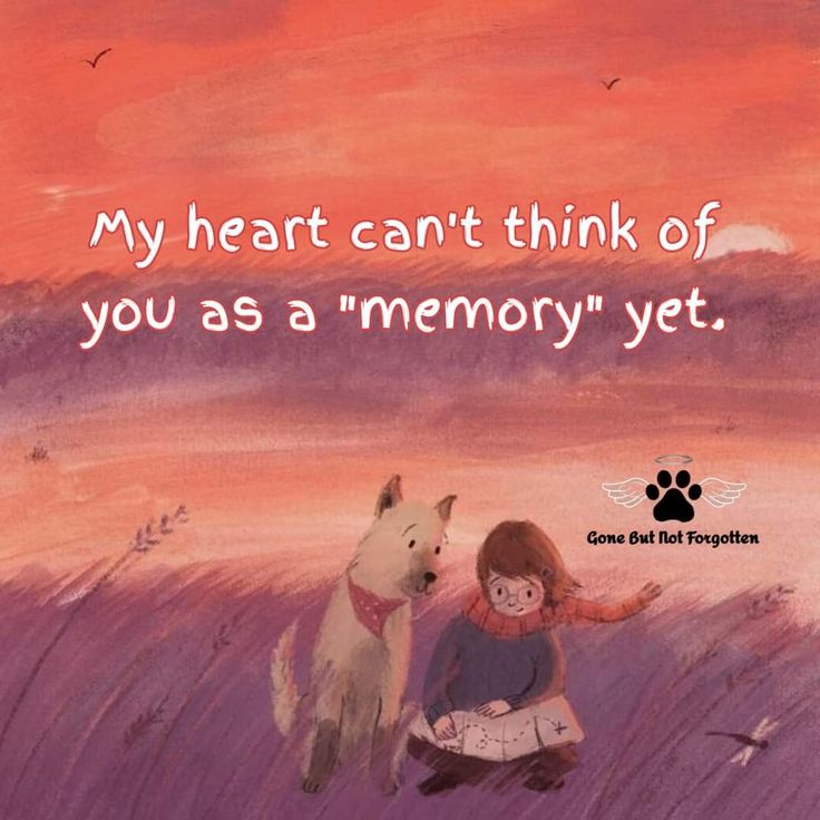 Losing A Dog Quotes, Losing A Pet Quotes, Angel Drawings, Dog Heaven Quotes, Pet Quotes Dog, Paw Prints On My Heart, Miss My Dog, Pet Quotes, Dog Lover Quotes