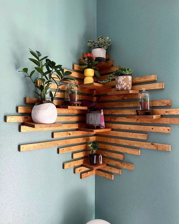 a wooden shelf with potted plants and other items on it in a blue room