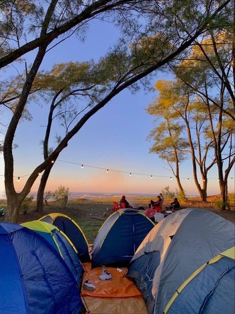 several tents are set up in the woods