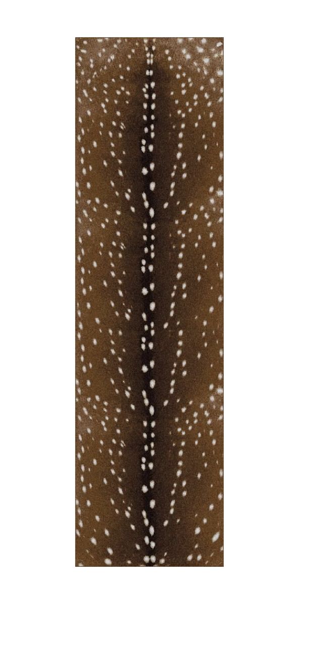 a brown and white animal skin with spots on it