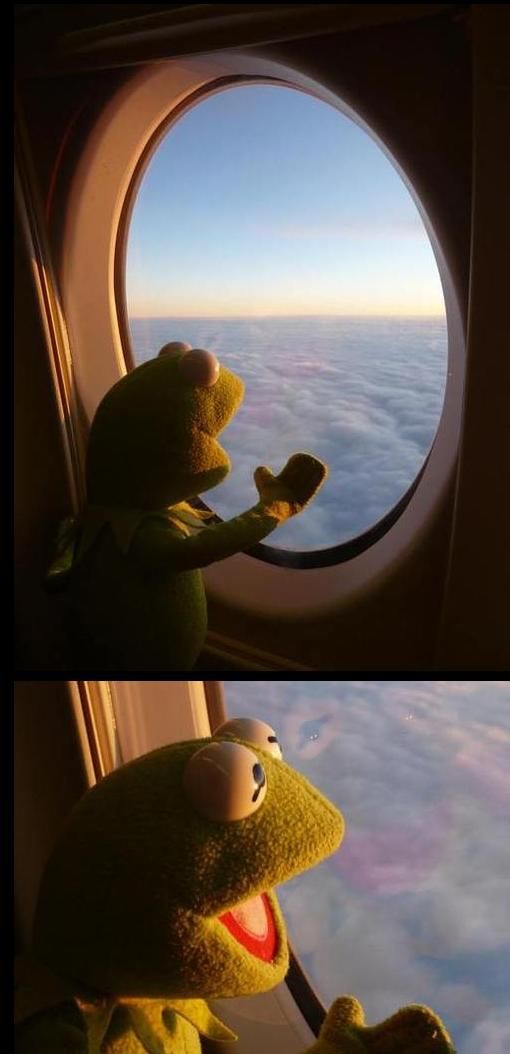 kermie the frog looking out an airplane window