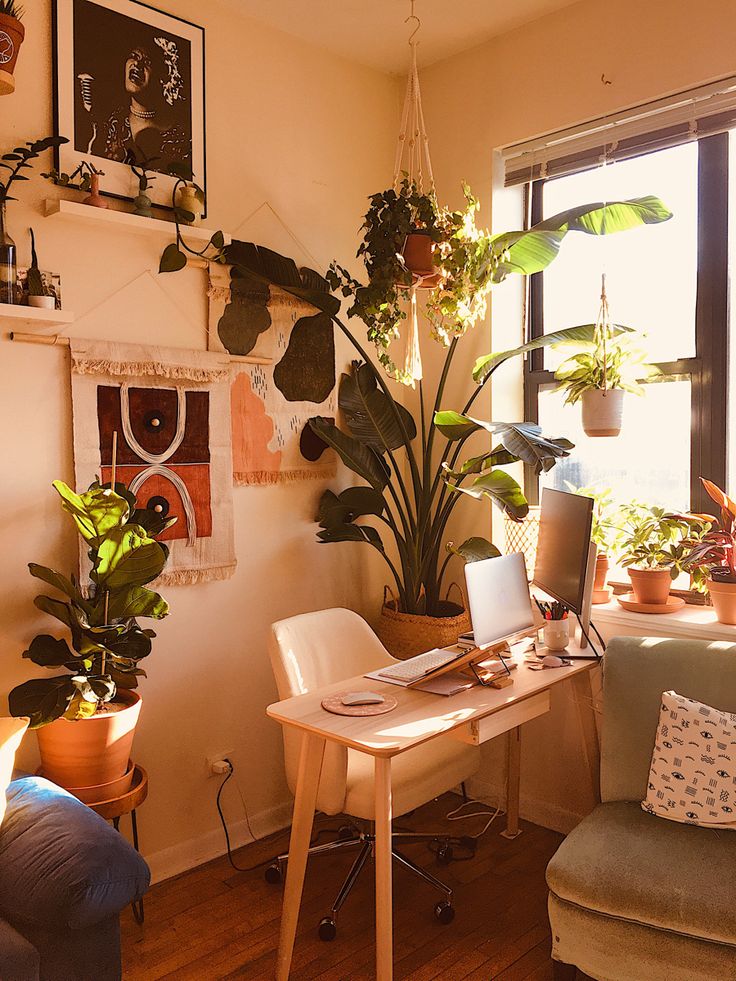 a living room filled with lots of plants next to a window