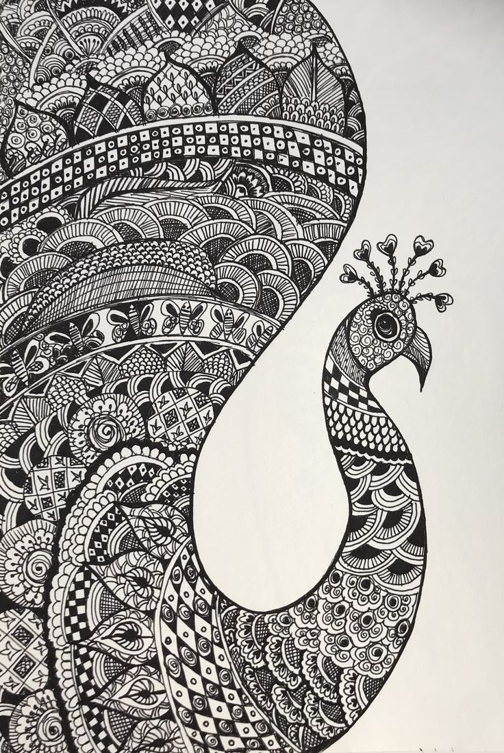 a black and white drawing of a peacock with intricate designs on it's back