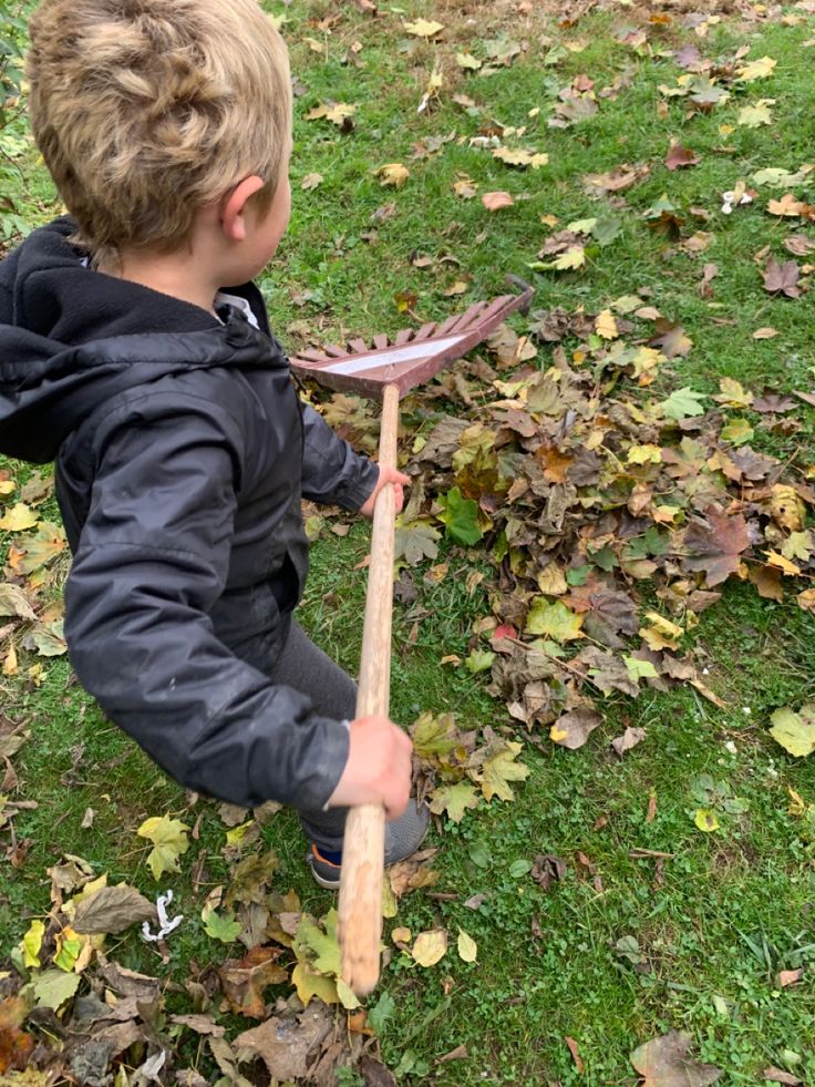 a young boy holding a baseball bat on top of a green grass covered field with leaves