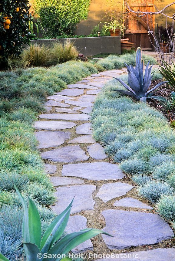 a stone path in the middle of a garden