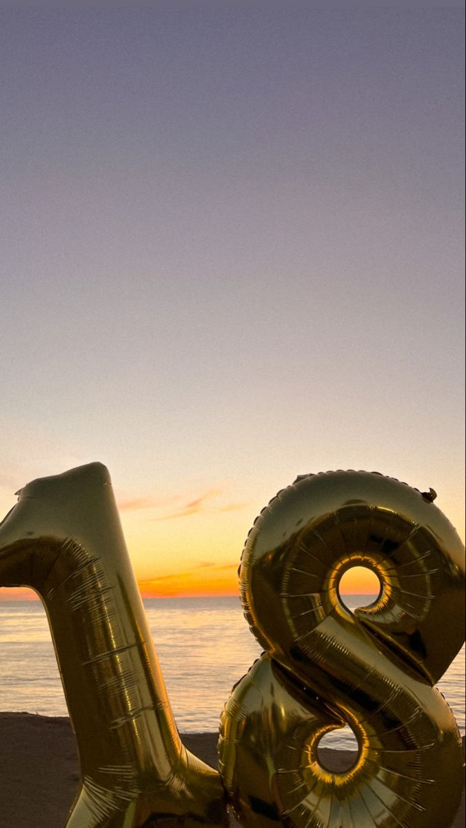 an inflatable balloon shaped like a duck on the beach at sunset or dawn