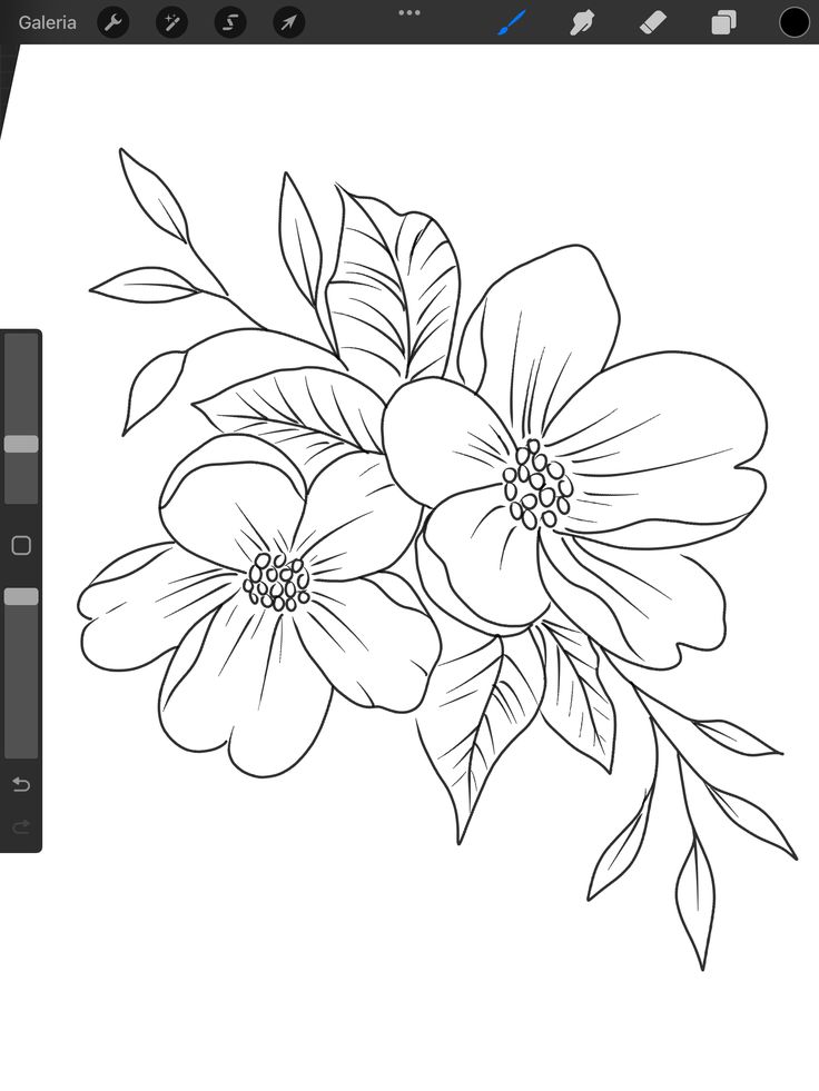 an image of flowers drawn on the screen with adobe and photoshopped to it