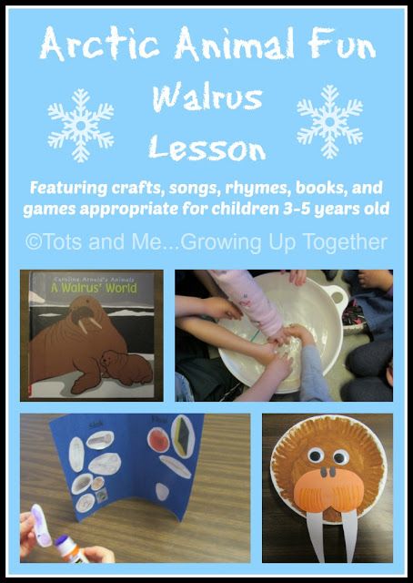 the arctic animal fun walrus lesson is shown with pictures of animals and snowflakes