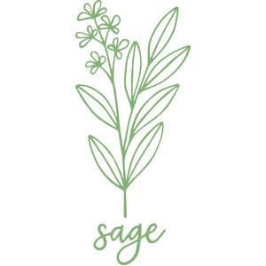 sage plant with the word sage on it