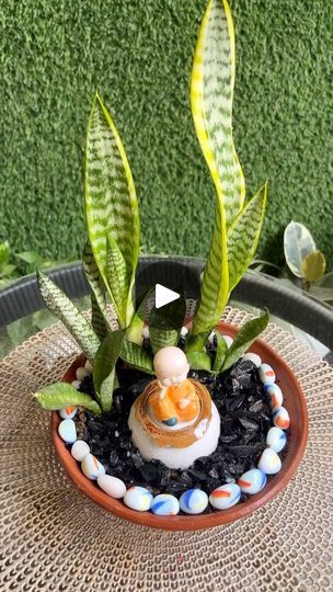 a potted plant sitting on top of a table next to some rocks and plants