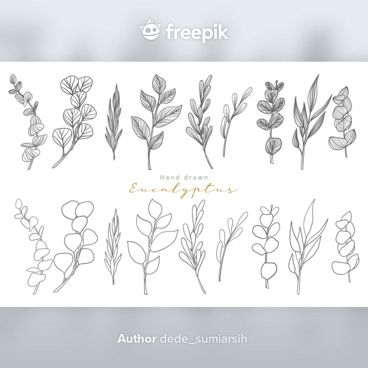 the different types of flowers and leaves are shown in this hand drawn sketch style set