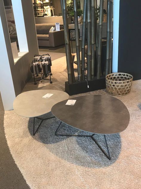 two tables sitting on top of a carpeted floor next to a tall bamboo tree