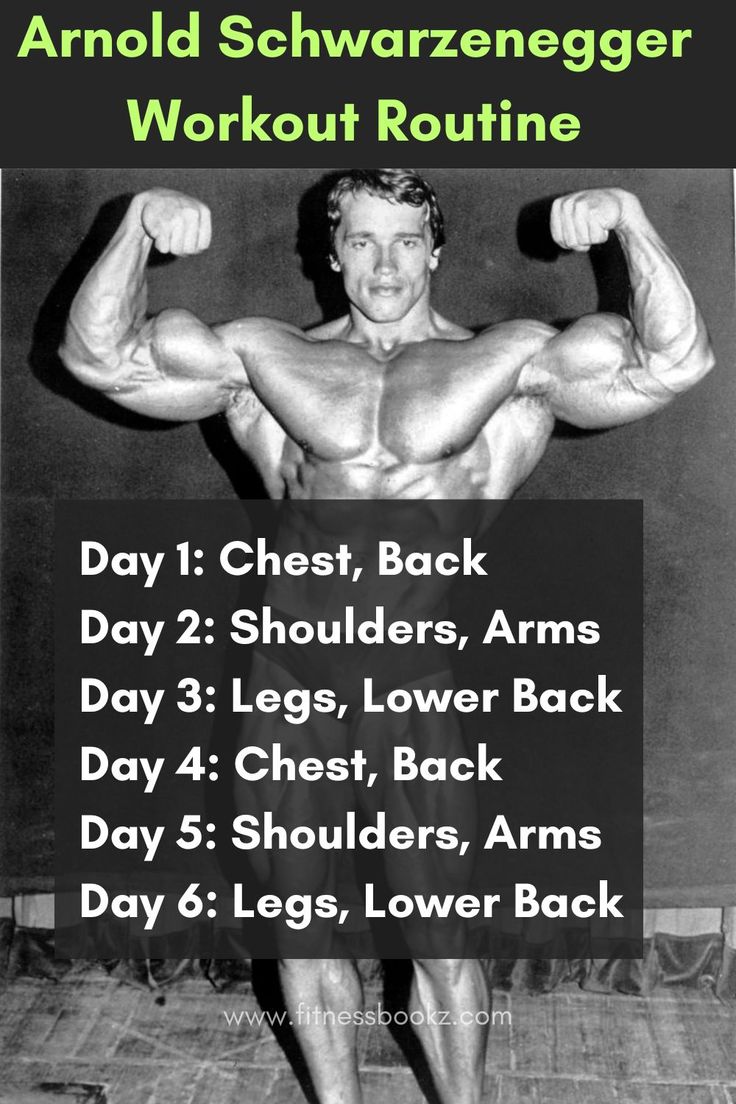 Arnold Schwarzenegger Daily Routine Arnold Split Workout, Bodybuilding Split Workout Plans, Arnold Back Workout, 5 Day Workout Split Muscle Building, Arnold Training, Arnold Shoulder Workout, Arnold Schwarzenegger Workout, Accessory Workout, Arnold Schwarzenegger Workout Routine