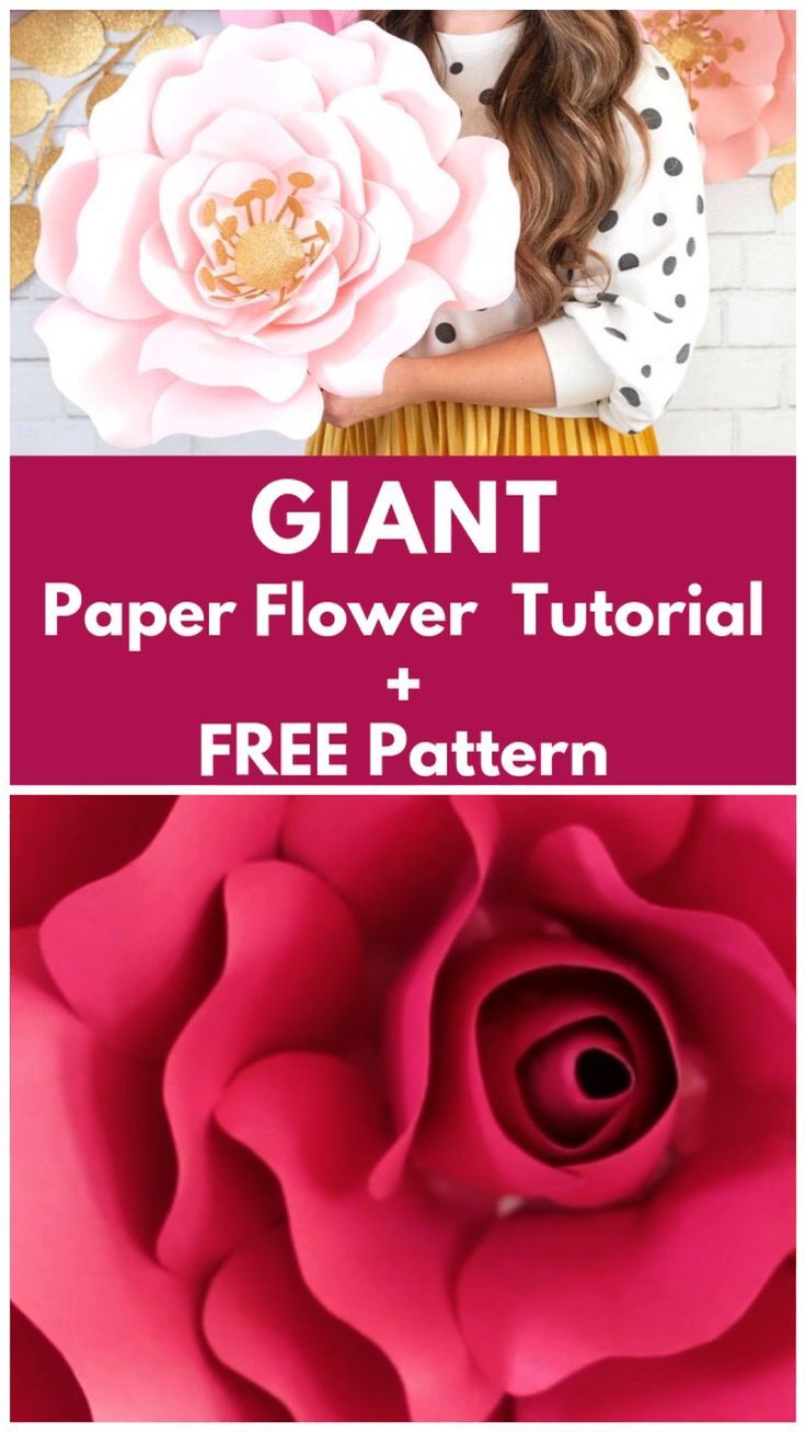 giant paper flower with free pattern and instructions to make it in the shape of a rose